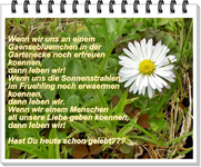 Gaesebluemchen-heute schon gelebtv.webp