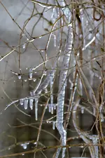 Winter_0001.webp