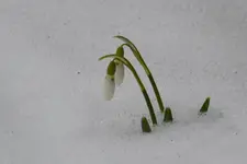 Winter_0006.webp