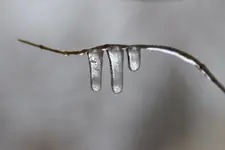 Winter_0002.webp