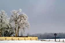 Winter_0009.webp