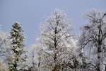 Winter_0010.JPG