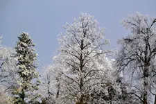 Winter_0010.webp