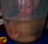 Füße_0001.webp Füße_0001.webp