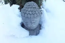 DSCF0060.webp