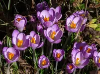 P1170280.webp
