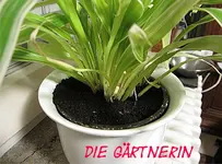 IMG_1073.webp