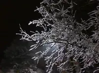 P1270370.webp