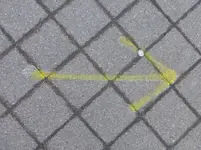 P1270431.webp