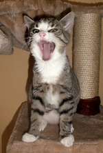 fritz 03.12.-01.webp