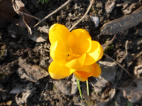 P1270866.webp