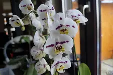 _DSC7739.webp