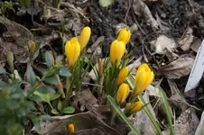 _DSC7746.webp