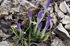 _DSC7747.webp