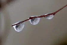 DSC_8717.webp