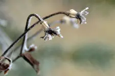DSC_8875x.webp