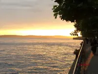 Fo_Urlaub_Bodensee_06.2015_mr.ditschy.webp