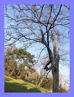 119.webp