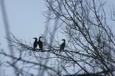 DSCF0139.webp
