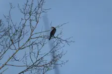 DSCF0141.webp
