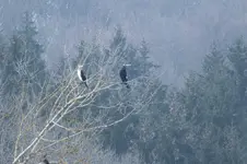 DSCF0153.webp