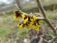 P1270837.webp