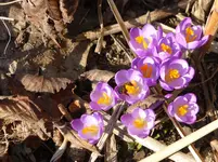 P1030028.webp