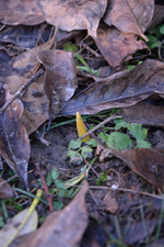 DSC_3572.webp
