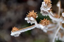 DSC_9166.webp