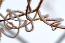 DSC_9248x.webp