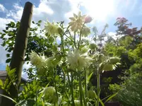 P1080203.webp