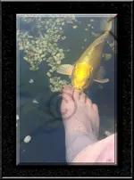 Fußpflege-2.webp Fußpflege-2.webp