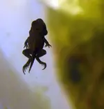 Füsse.webp Füsse.webp