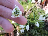 DSCN0195.webp