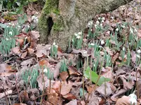 DSCN0207.webp
