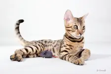 blog_SAM_0772.webp