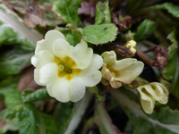 P1280001.webp
