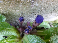 P1280004.webp
