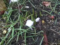 BILD3696.webp
