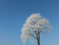 DSCF0162 (2).webp