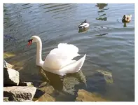 095.webp