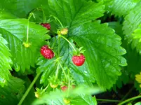 DSCN8586.webp