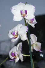 _DSC7754.webp