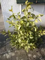 CAM01024.webp