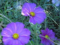 IMG_3638.webp