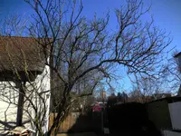 DSCN2187.webp