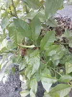 CAM01028.webp