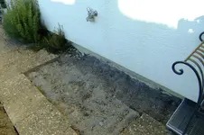 DSCF2602.webp