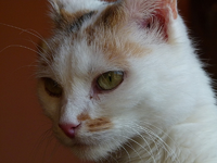 claudia portraet jan.13-1.webp