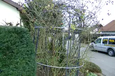DSCF2606.webp